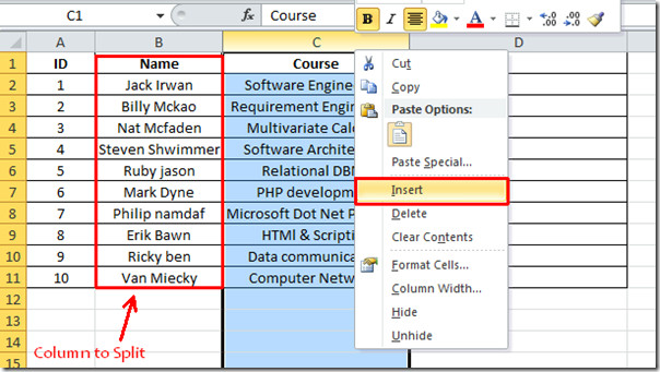 Execute Put Off Mission Excel Divide Data Into Columns Generalize 