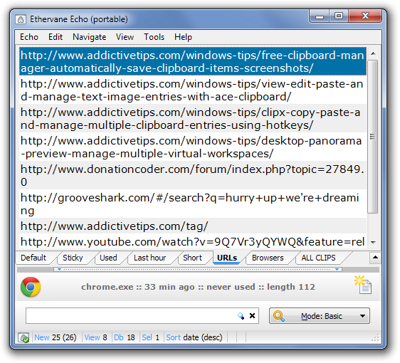 Ethervane Echo (portable) URLS