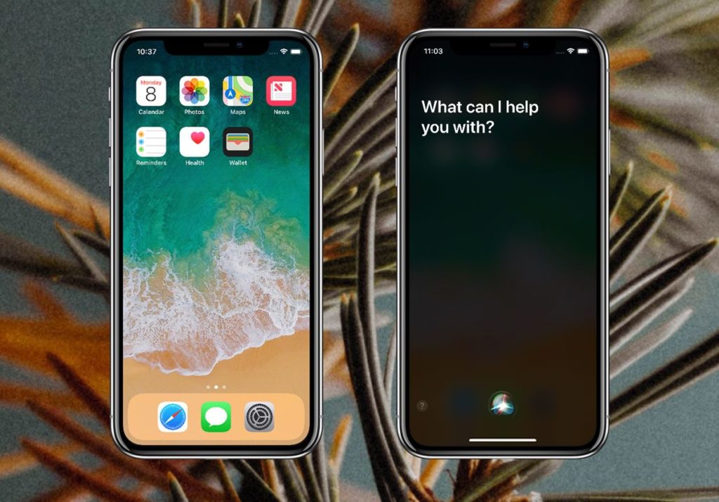 How To Activate Siri On iPhone X