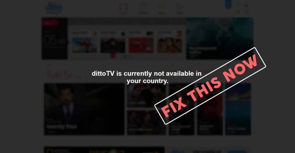 ditto tv app download