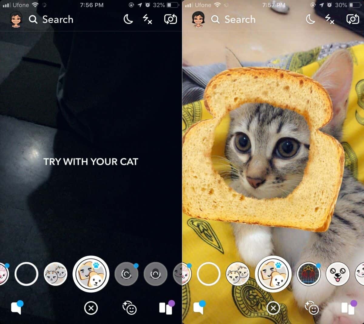 How To Use A Snapchat Pet Lens