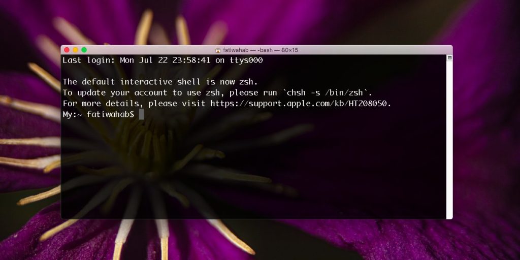 how-to-switch-back-to-bash-in-terminal-on-macos-catalina