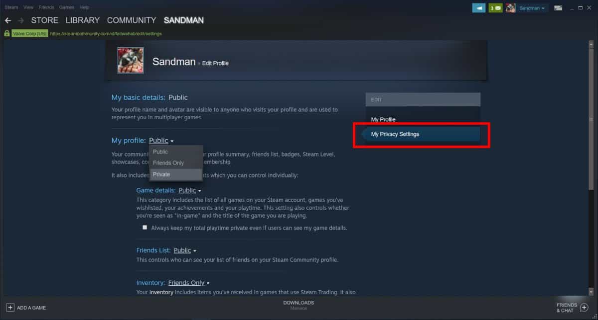 Steam Privacy Settings 