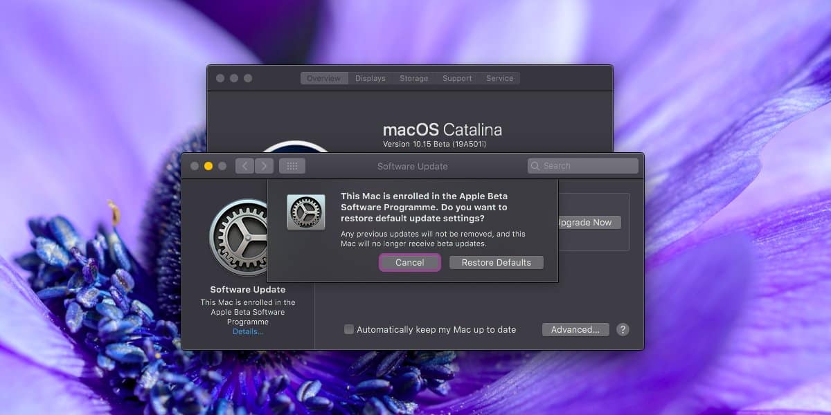 leave mac os beta program