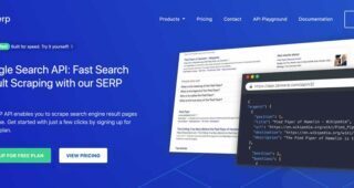 Google Search API