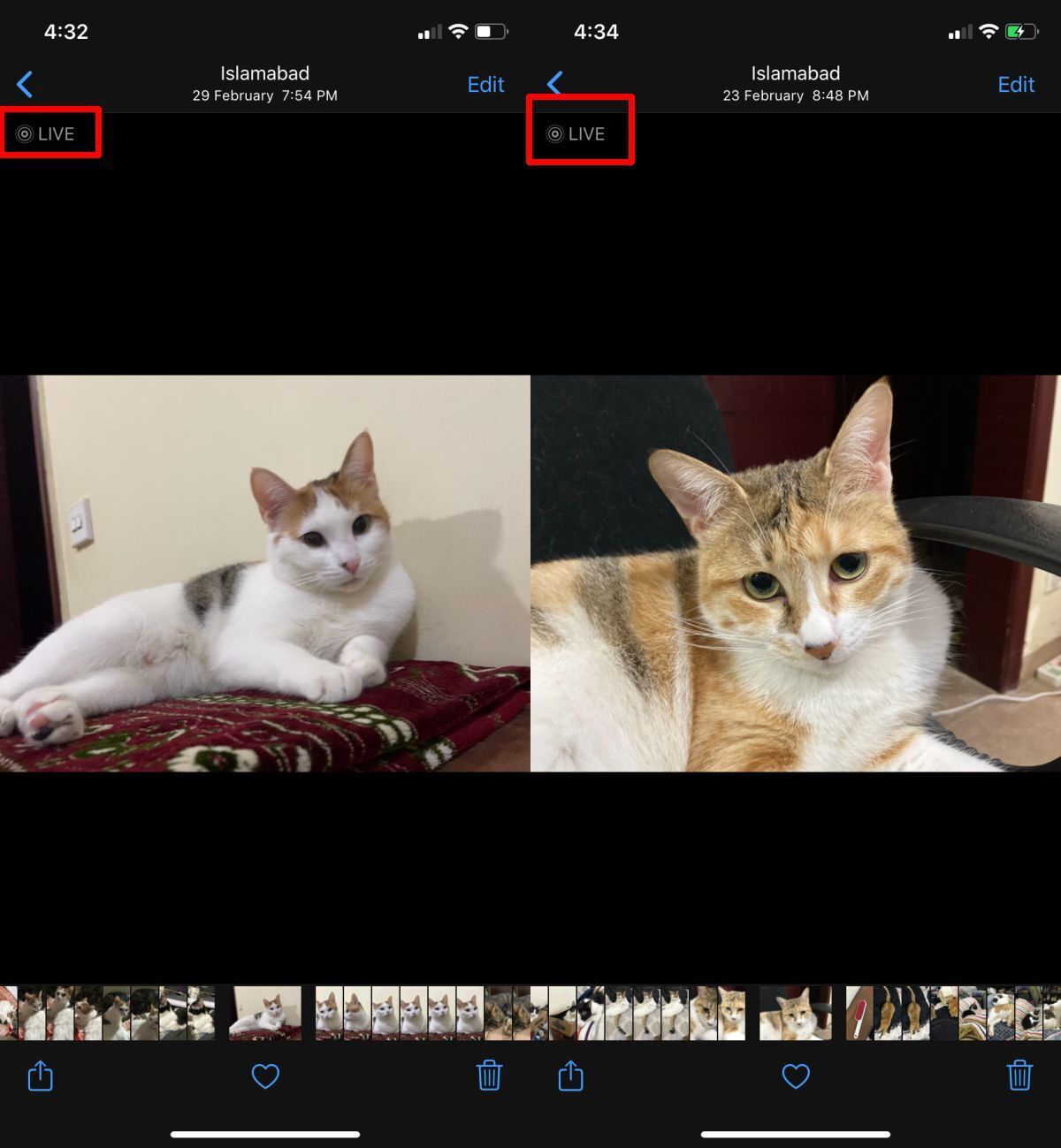 how-to-convert-a-live-photo-to-a-video-ios