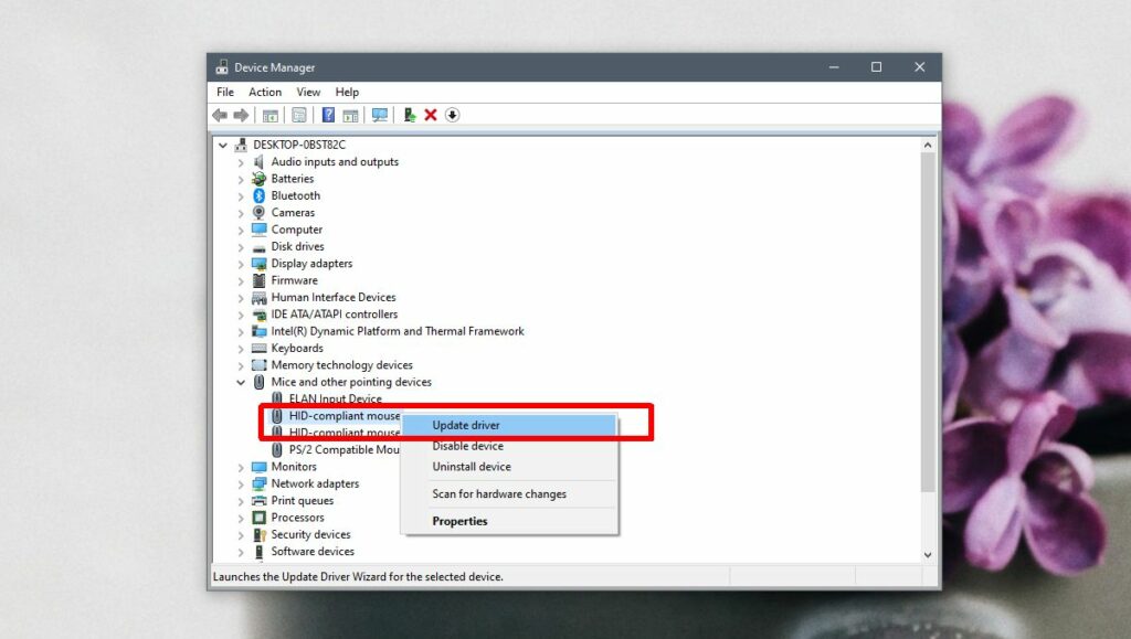 how to check mouse driver in windows 10