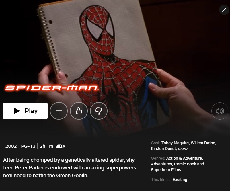 Is Spider-Man: Into the Spider-Verse on Netflix? - TV Guide