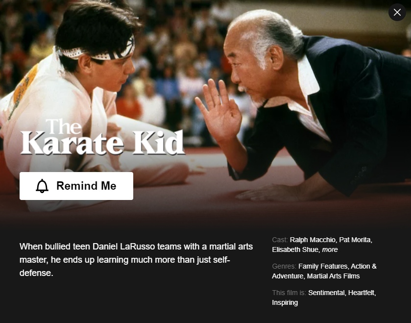 watch karate kid 2010 full movie