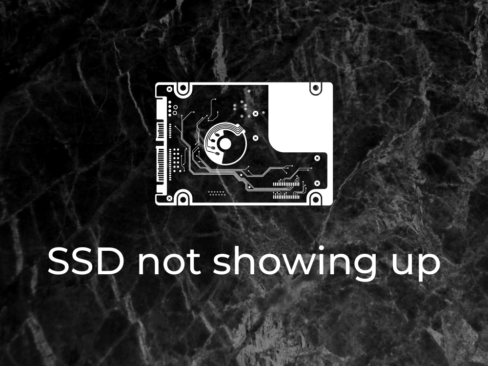 computer not showing ssd