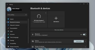 Bluetooth device on Windows 11