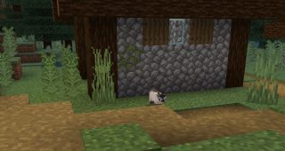 cats in minecraft