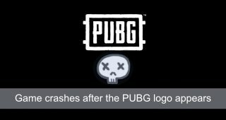 game crashes after the PUBG logo appears