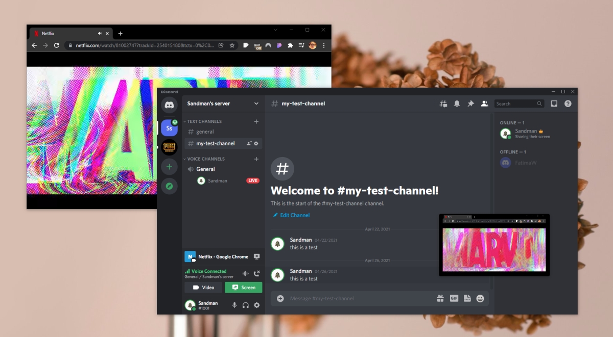 How to Stream Netflix on Discord | Solved 2023