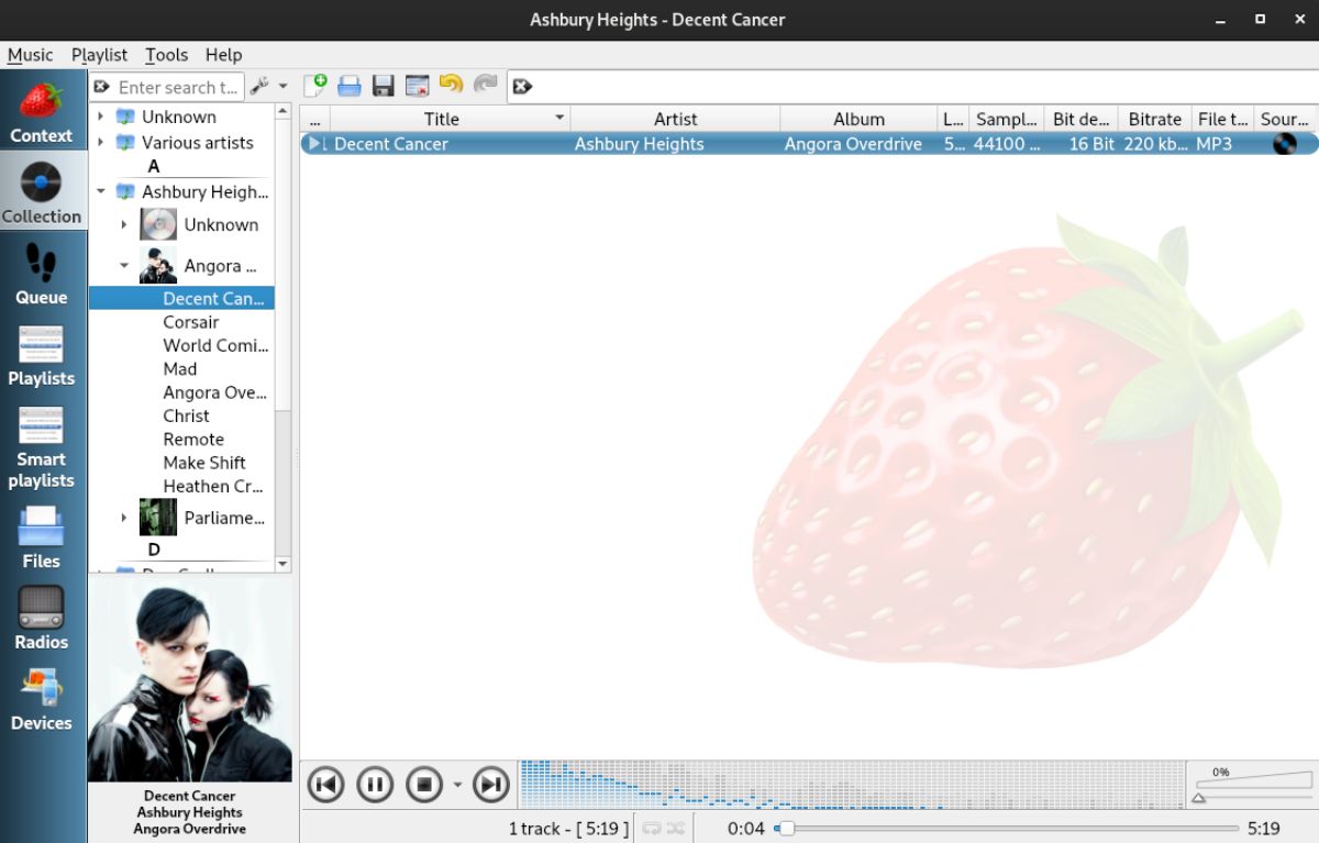 for windows instal Strawberry Music Player 1.0.18