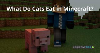 What do cats eat in Minecraft?