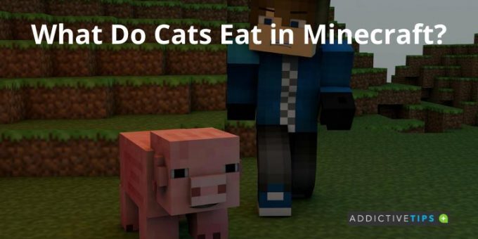 What do cats eat in Minecraft?