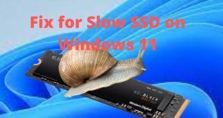 Fix-for-Slow-SSD-on-Windows-11