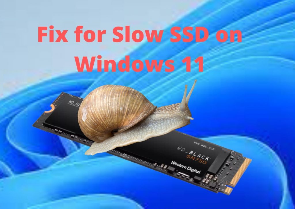 windows 11 slow ssd reddit