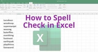 how to spell check in excel