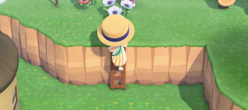 Getting A Ladder in Animal Crossing: How-To Guide & Tips