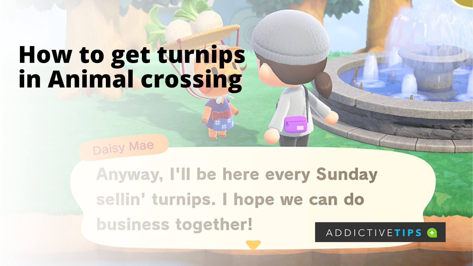 How to Get Turnips in Animal crossing New Horizons