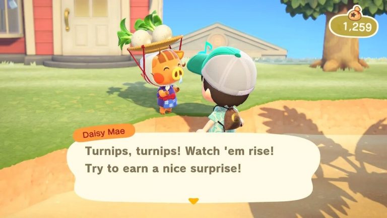 How to Plant Turnips in Animal Crossing: New Horizons