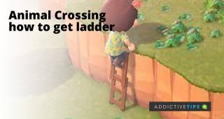 image-of-Tom-Nook-climbing-ladder-Animal-Crossing