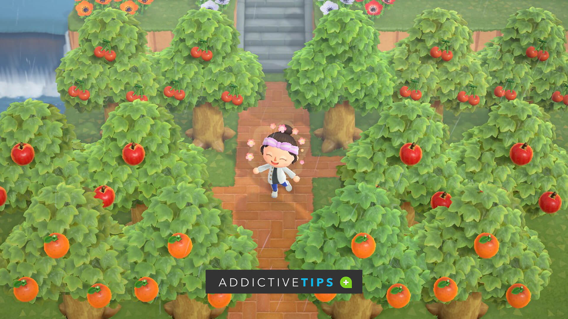 How To Get Different Fruits In Animal Crossing New Horizons