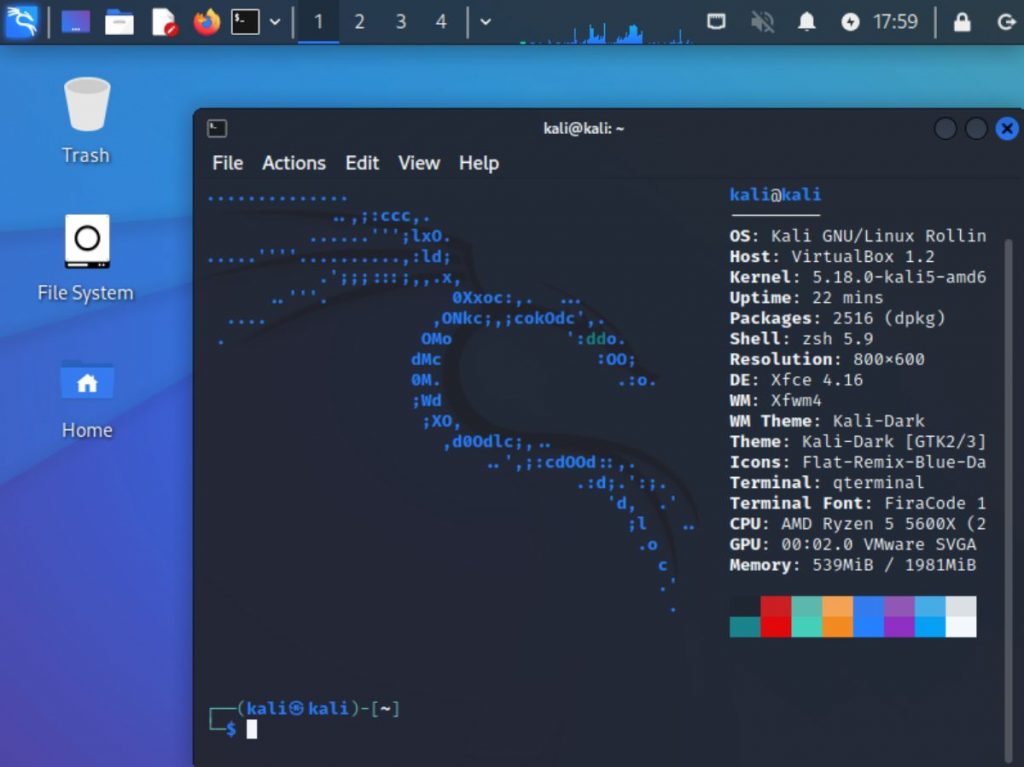 How to set up Kali Linux with a GUI On Windows - Addictive Tips Guide