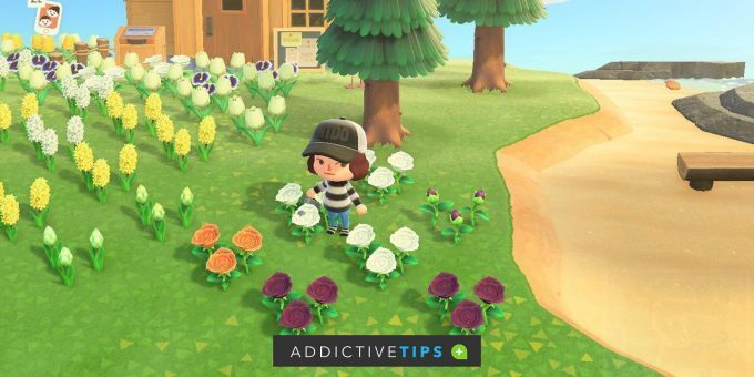 adt-hero-image-of-animal-crossing-character-in-a-garden-of-flowers