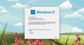 Windows Version showing Windows 11